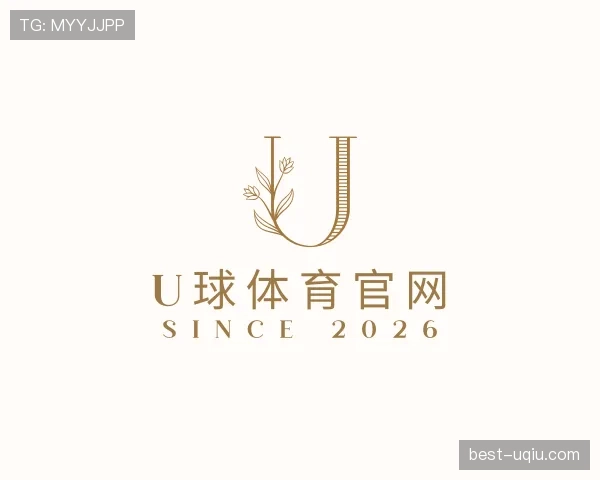 关于u球体育